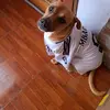 david amigo - @david.amigo34 - TikTok
