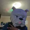 davidamin582 - @davidamin582 - TikTok