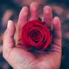 davidamirault - @davidamirault - TikTok