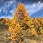 David Ammann - @_david_ammann_ - Instagram