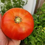 David Kammann - @kammanndavid - Instagram