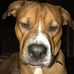 David Amodio - Facebook