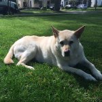 David Amory - @roodad2 - Instagram