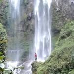 david amran - @david_amran - Instagram