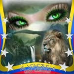 David Amundaray - @amundaraydavid - Instagram
