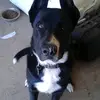 BDA88888 - @davidamyx622 - TikTok