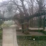 David Stefan - @davidanamaria2005 - Instagram