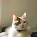 David Anaman - Facebook