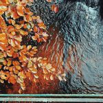 David Anaman - @david.anaman.370 - Instagram