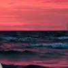 david_chanchel - @david_chanchel6 - TikTok