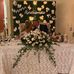 David Anchondo - Facebook