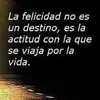 david andaluz - @davidandaluz6 - TikTok