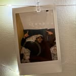 David Andaluz Brito - @david_andaluz_ - Instagram