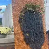 catalindavidandonie1 - @catalindavidandonie1 - TikTok