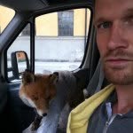 David Andren - @davidandren - Instagram