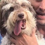 David Angevine - @david.angevine.5 - Instagram