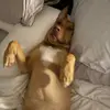 david 😝😝 - @david.antczak - TikTok