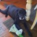 David Antosh - Facebook
