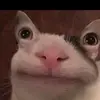 David Apps636 - @davidapps29 - TikTok