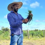 Eng agrônomo David Arão - @david_araogomes - Instagram