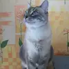 davidarbogast88 - @davidarbogast88 - TikTok