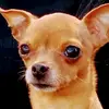 David Arboleda - @david.arboleda - TikTok
