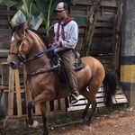 David Sdvsf Crespo - @david.arboleda_311 - Instagram
