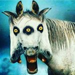 Luis Arboleda - @david_arboleda__ - Instagram