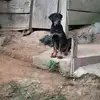 David Argel - @david.argel0 - TikTok