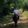 davidarms502 - @ohiovalleyhorseman - TikTok