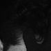 David Arnone - Facebook