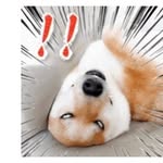 David Arrowood - @david.arrowood.7547 - Instagram