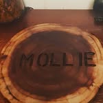 Mollie Ann Ashburner - @trevordavidashburner - Instagram