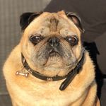 Bruce David Ashworth - @sir.booce - Instagram