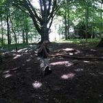 David Ashworth - @david.ashworth80 - Instagram