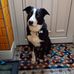David Ashworth - Facebook