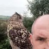 David Ashworth ashy - @david.ashworth.as - TikTok