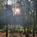 David - @david.ashworth_ - Instagram