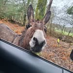 David Askew - @davidaskew12 - Instagram