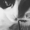 David Rasor - @davidrasor - TikTok