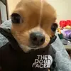 19.davidasp - @19.davidasp - TikTok