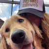 Aspen and Oakley - @aspenandoakley - TikTok