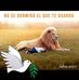 David Asquith - Facebook