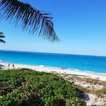 David O. Assalti - @davidassalti - Instagram