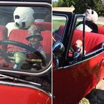 David Astle - @david.astle.58 - Instagram