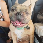 David Atencio - @davidatencio7 - Instagram