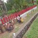 David Atis David Atis - Facebook