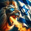 ATTAL David - @attal.david777 - TikTok