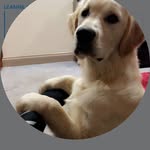 David Attwell - @dattwell - Instagram