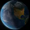 David Au - @david.au6 - TikTok